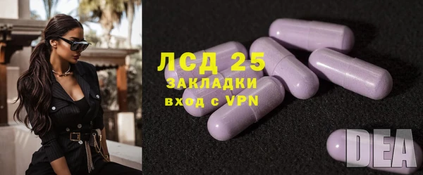 стаф Алексин