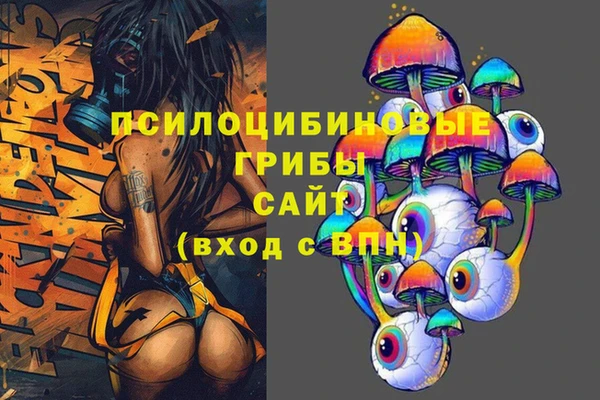 стаф Алексеевка