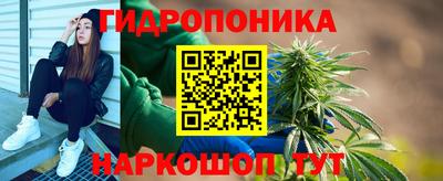 гашик Краснодар