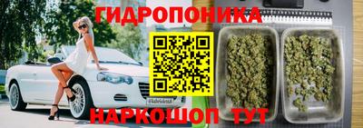 гашик Краснодар