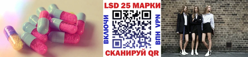 блэк спрут зеркало  Кизилюрт  Лсд 25 экстази кислота 