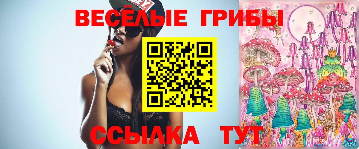 Псилоцибиновые грибы мицелий Кизилюрт