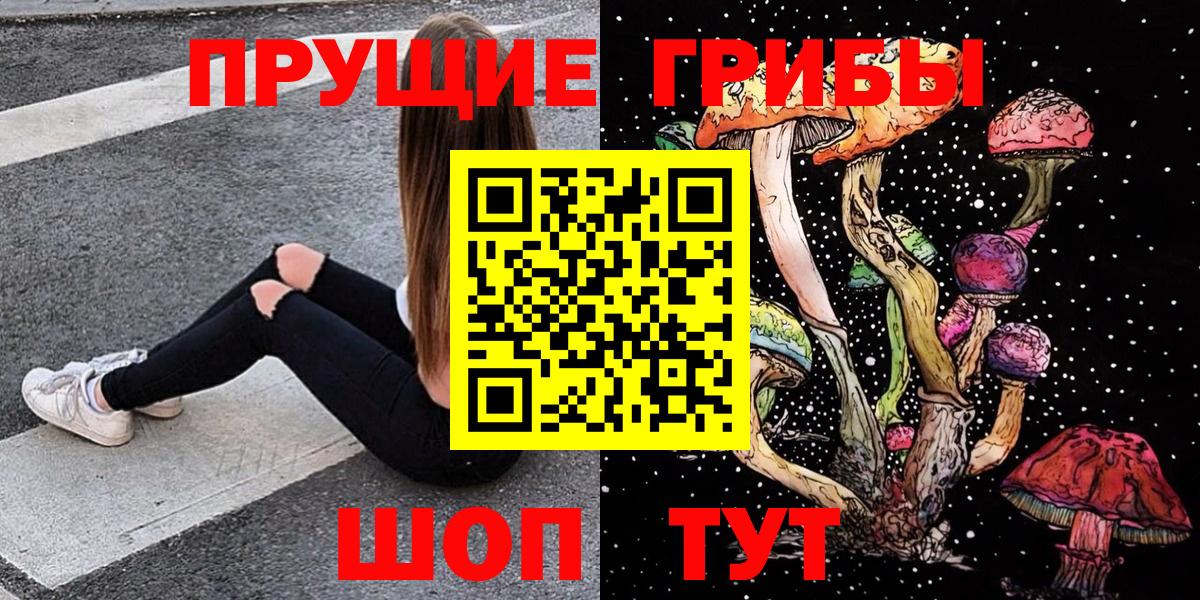 Кизилюрт  Галлюциногенные грибы Psilocybe  Вход с VPN 